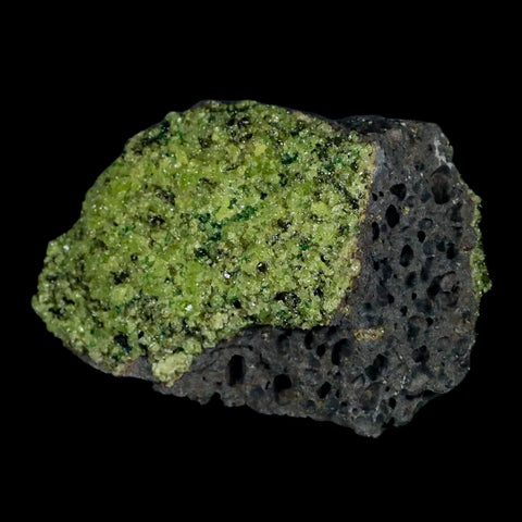 XL 4.1" Natural Emerald Peridot Crystal Minerals On Volcanic Rock Gila, Arizona - Fossil Age Minerals