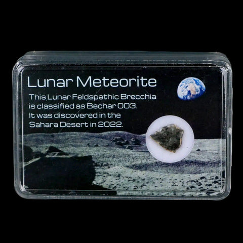 Moon Rock Lunar Meteorite Bechar 003 Algerian Sahara Desert Discovered 2022 - Fossil Age Minerals