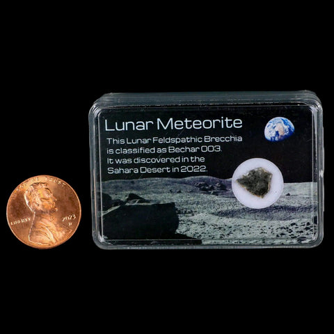 Moon Rock Lunar Meteorite Bechar 003 Algerian Sahara Desert Discovered 2022 - Fossil Age Minerals