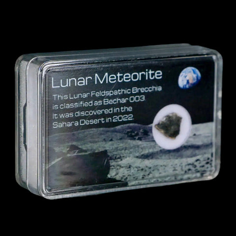 Moon Rock Lunar Meteorite Bechar 003 Algerian Sahara Desert Discovered 2022 - Fossil Age Minerals