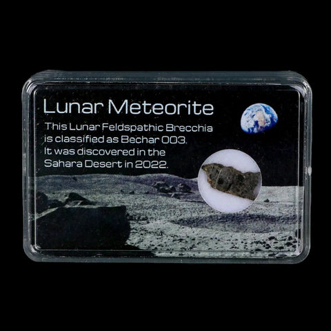 Moon Rock Lunar Meteorite Bechar 003 Algerian Sahara Desert Discovered 2022 - Fossil Age Minerals