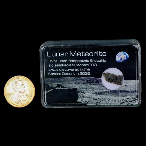 Moon Rock Lunar Meteorite Bechar 003 Algerian Sahara Desert Discovered 2022 - Fossil Age Minerals