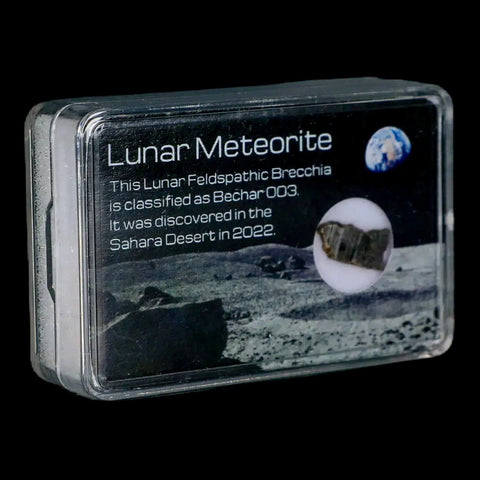 Moon Rock Lunar Meteorite Bechar 003 Algerian Sahara Desert Discovered 2022 - Fossil Age Minerals