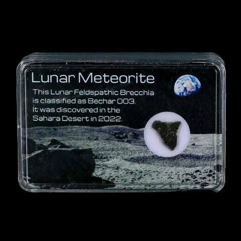 Moon Rock Lunar Meteorite Bechar 003 Algerian Sahara Desert Discovered 2022 - Fossil Age Minerals