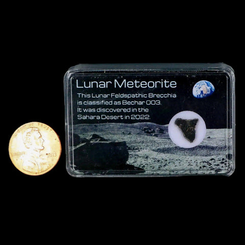 Moon Rock Lunar Meteorite Bechar 003 Algerian Sahara Desert Discovered 2022 - Fossil Age Minerals