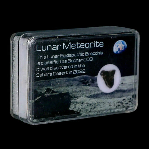 Moon Rock Lunar Meteorite Bechar 003 Algerian Sahara Desert Discovered 2022 - Fossil Age Minerals