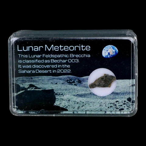 Moon Rock Lunar Meteorite Bechar 003 Algerian Sahara Desert Discovered 2022 - Fossil Age Minerals