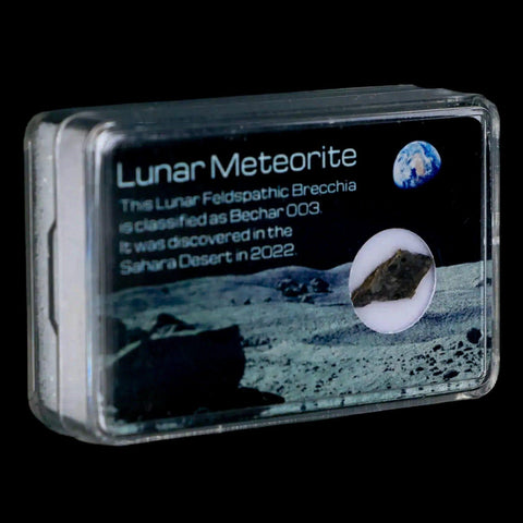 Moon Rock Lunar Meteorite Bechar 003 Algerian Sahara Desert Discovered 2022 - Fossil Age Minerals