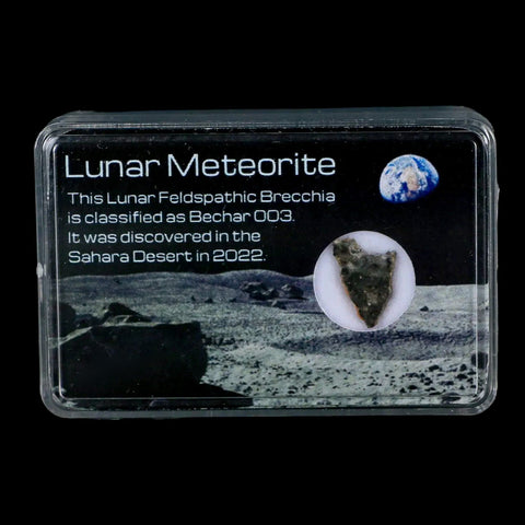 Moon Rock Lunar Meteorite Bechar 003 Algerian Sahara Desert Discovered 2022 - Fossil Age Minerals