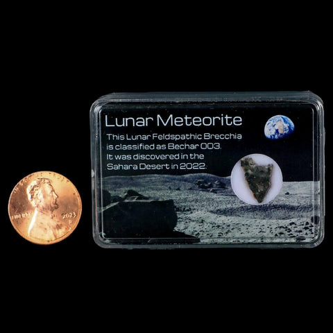 Moon Rock Lunar Meteorite Bechar 003 Algerian Sahara Desert Discovered 2022 - Fossil Age Minerals