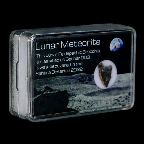 Moon Rock Lunar Meteorite Bechar 003 Algerian Sahara Desert Discovered 2022 - Fossil Age Minerals