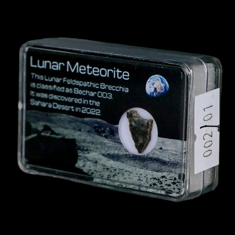 Moon Rock Lunar Meteorite Bechar 003 Algerian Sahara Desert Discovered 2022 - Fossil Age Minerals