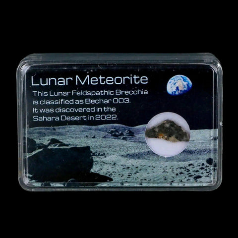 Moon Rock Lunar Meteorite Bechar 003 Algerian Sahara Desert Discovered 2022 - Fossil Age Minerals