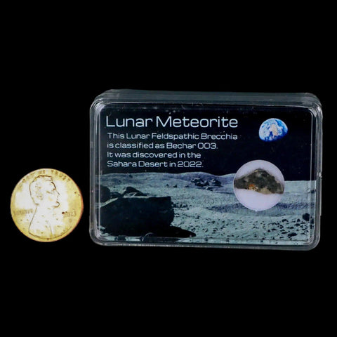 Moon Rock Lunar Meteorite Bechar 003 Algerian Sahara Desert Discovered 2022 - Fossil Age Minerals