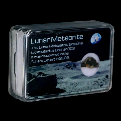 Moon Rock Lunar Meteorite Bechar 003 Algerian Sahara Desert Discovered 2022 - Fossil Age Minerals