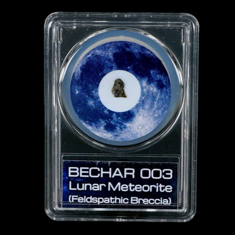 Moon Rock Lunar Meteorite Bechar 003 Algerian Sahara Desert Discovered 2022 COA - Fossil Age Minerals