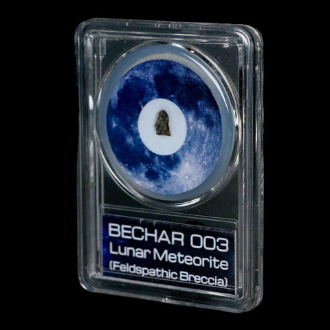 Moon Rock Lunar Meteorite Bechar 003 Algerian Sahara Desert Discovered 2022 COA - Fossil Age Minerals