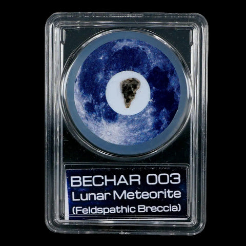 Moon Rock Lunar Meteorite Bechar 003 Algerian Sahara Desert Discovered 2022 COA - Fossil Age Minerals