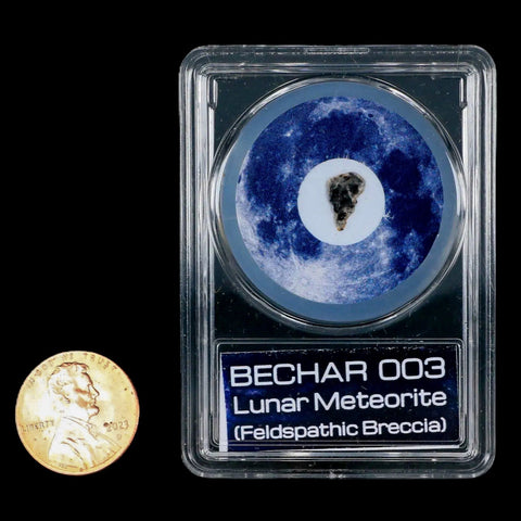 Moon Rock Lunar Meteorite Bechar 003 Algerian Sahara Desert Discovered 2022 COA - Fossil Age Minerals