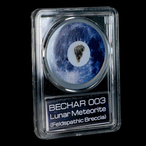 Moon Rock Lunar Meteorite Bechar 003 Algerian Sahara Desert Discovered 2022 COA - Fossil Age Minerals