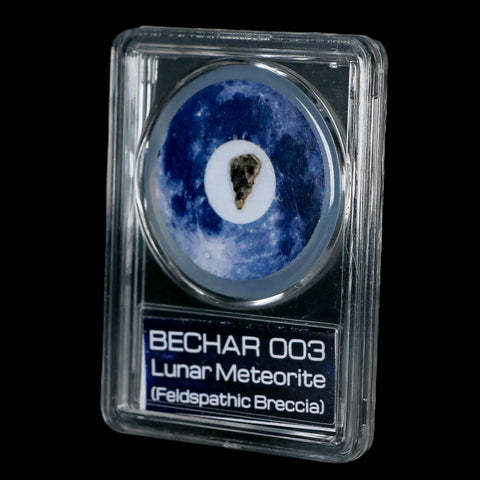 Moon Rock Lunar Meteorite Bechar 003 Algerian Sahara Desert Discovered 2022 COA - Fossil Age Minerals