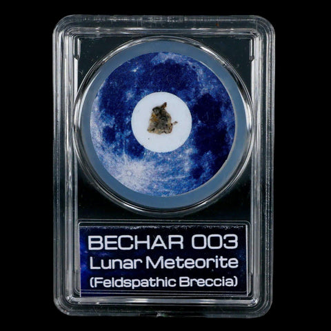 Moon Rock Lunar Meteorite Bechar 003 Algerian Sahara Desert Discovered 2022 COA - Fossil Age Minerals