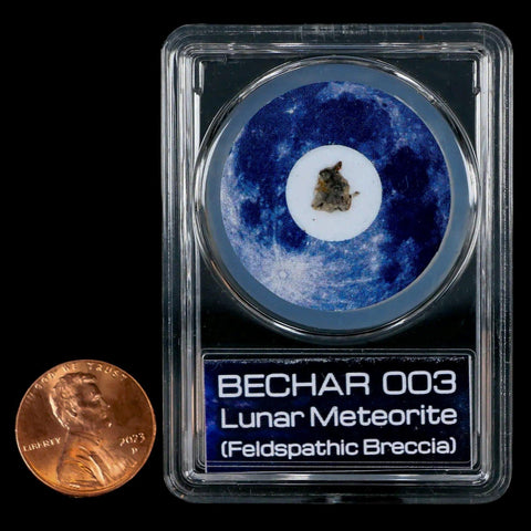 Moon Rock Lunar Meteorite Bechar 003 Algerian Sahara Desert Discovered 2022 COA - Fossil Age Minerals