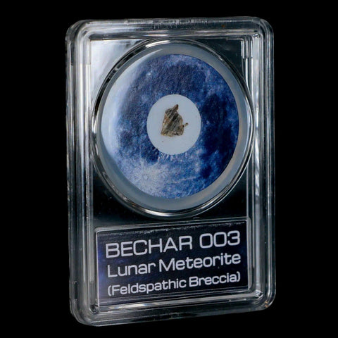 Moon Rock Lunar Meteorite Bechar 003 Algerian Sahara Desert Discovered 2022 COA - Fossil Age Minerals