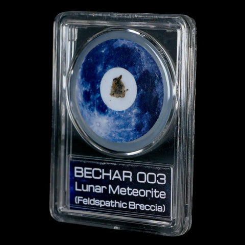 Moon Rock Lunar Meteorite Bechar 003 Algerian Sahara Desert Discovered 2022 COA - Fossil Age Minerals