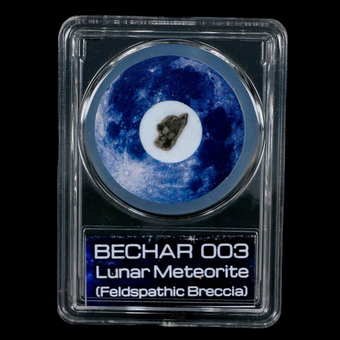 Moon Rock Lunar Meteorite Bechar 003 Algerian Sahara Desert Discovered 2022 COA - Fossil Age Minerals