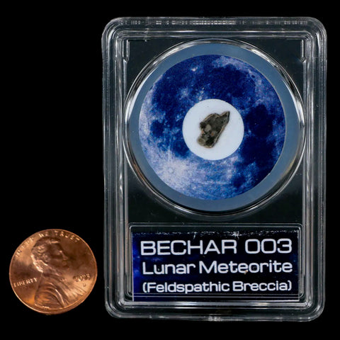 Moon Rock Lunar Meteorite Bechar 003 Algerian Sahara Desert Discovered 2022 COA - Fossil Age Minerals