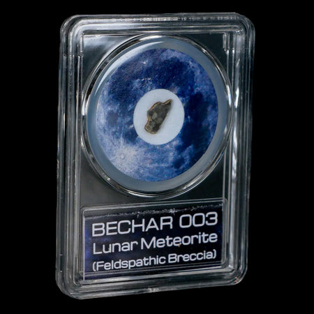 Moon Rock Lunar Meteorite Bechar 003 Algerian Sahara Desert Discovered 2022 COA