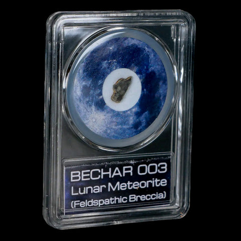 Moon Rock Lunar Meteorite Bechar 003 Algerian Sahara Desert Discovered 2022 COA - Fossil Age Minerals