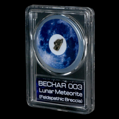 Moon Rock Lunar Meteorite Bechar 003 Algerian Sahara Desert Discovered 2022 COA - Fossil Age Minerals