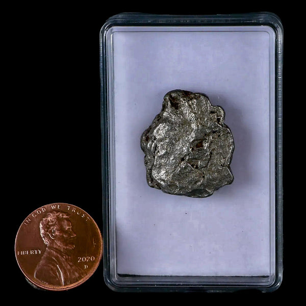 Campo Del Cielo Meteorite Gran Chaco Gualamba Argentina COA, Display 12 ...