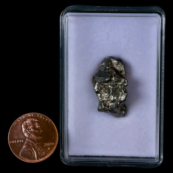 Campo Del Cielo Meteorite Gran Chaco Gualamba Argentina COA, Display 8 ...