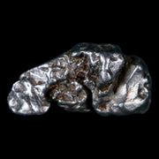 Campo Del Cielo Meteorite Gran Chaco Gualamba Argentina COA, Display 8 Grams