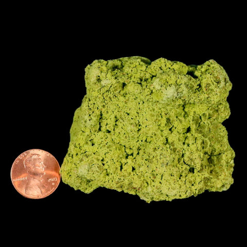 2.6" Rough Green Nontronite Mineral Specimen Jove Lauriano Minas Gerais Brazil - Fossil Age Minerals