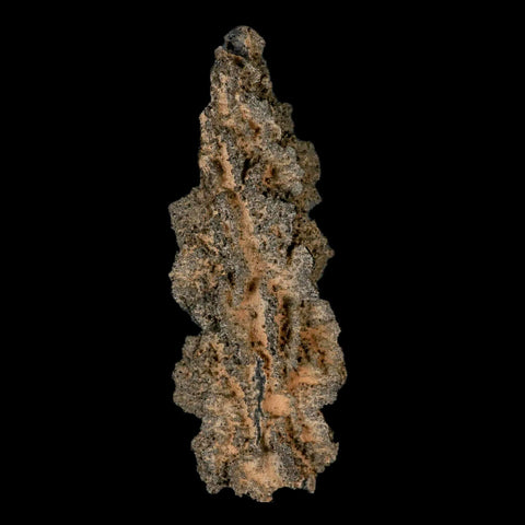 XXL 6.4" Fulgurite Petrified Lighting Strike Glass Sahara Desert Algeria - Fossil Age Minerals