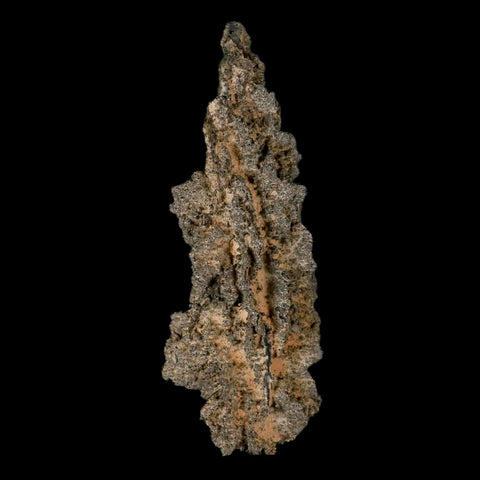 XXL 6.4" Fulgurite Petrified Lighting Strike Glass Sahara Desert Algeria - Fossil Age Minerals