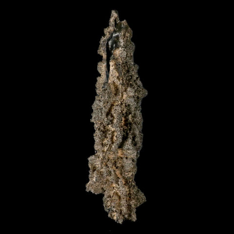 XXL 6.4" Fulgurite Petrified Lighting Strike Glass Sahara Desert Algeria - Fossil Age Minerals