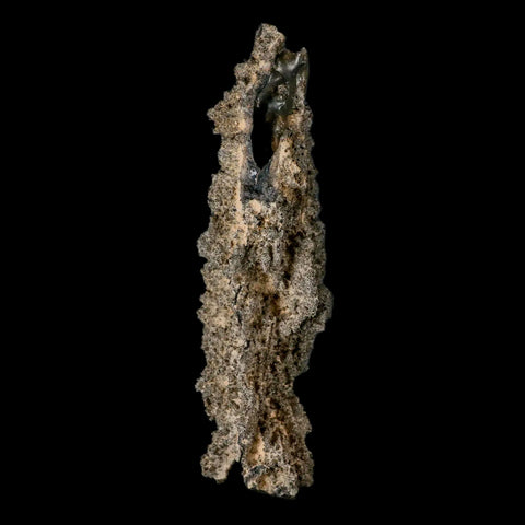 XXL 6.4" Fulgurite Petrified Lighting Strike Glass Sahara Desert Algeria - Fossil Age Minerals