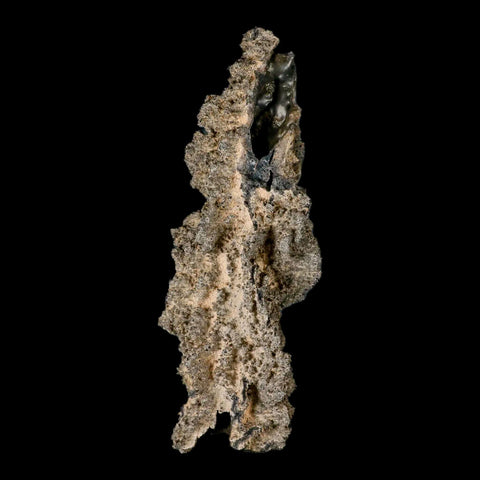 XXL 6.4" Fulgurite Petrified Lighting Strike Glass Sahara Desert Algeria - Fossil Age Minerals