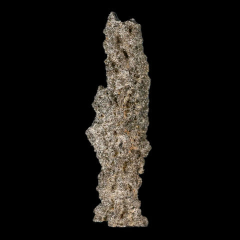 2.4" Fulgurite Petrified Lighting Strike Glass Sahara Desert Algeria - Fossil Age Minerals