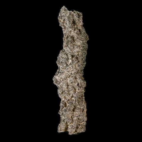 2.4" Fulgurite Petrified Lighting Strike Glass Sahara Desert Algeria - Fossil Age Minerals