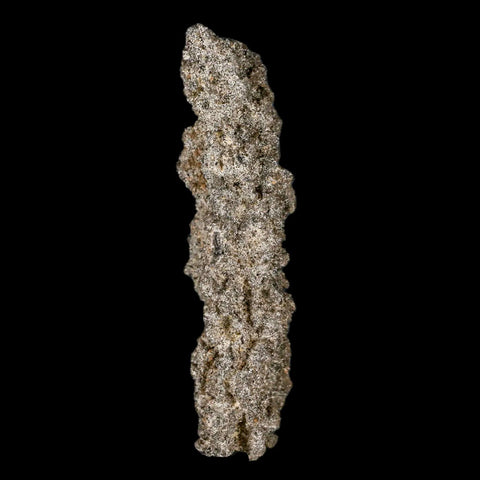 2.4" Fulgurite Petrified Lighting Strike Glass Sahara Desert Algeria - Fossil Age Minerals