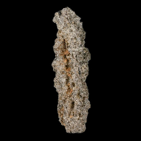 2.4" Fulgurite Petrified Lighting Strike Glass Sahara Desert Algeria - Fossil Age Minerals