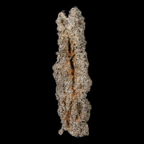 2.4" Fulgurite Petrified Lighting Strike Glass Sahara Desert Algeria - Fossil Age Minerals