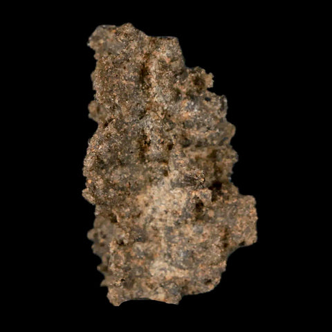 1.5" Fulgurite Petrified Lighting Strike Glass Sahara Desert Algeria - Fossil Age Minerals