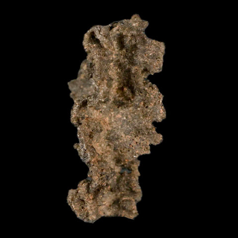 1.5" Fulgurite Petrified Lighting Strike Glass Sahara Desert Algeria - Fossil Age Minerals